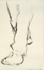 1905 ca. - Empirismo (studio per le gambe del carcerato del III pannello)